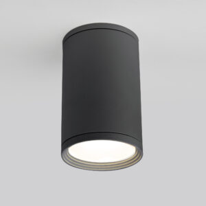 Уличный потолочный светильник Light 2101 IP65 35128/H серый
