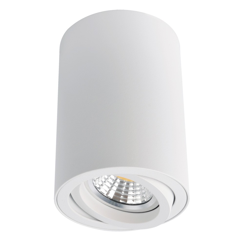 a1560pl-1wh Накладной точечный светильник Arte Lamp SENTRY A1560PL-1WH — изображение 1