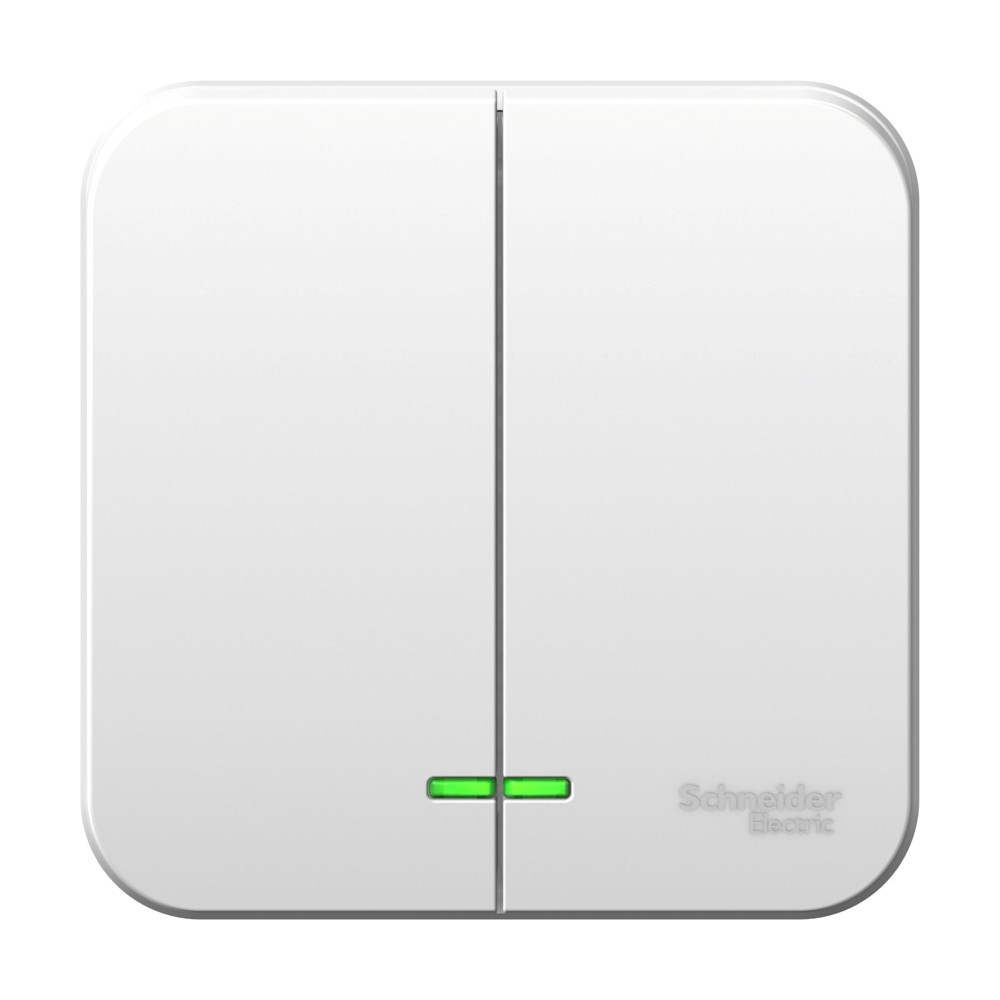 ixtrn8si Выключатель Schneider Electric BLANCA 2х-клав. О/У с 10А/250B БЕЛЫЙ — изображение 1
